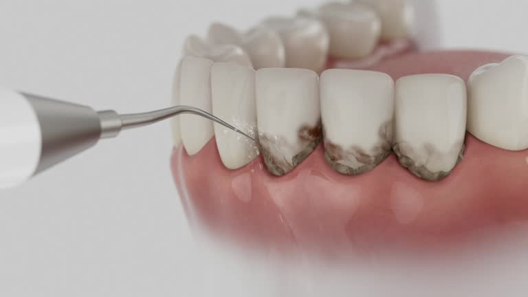 Reliable Dental contractor in Morris, IL by Dentist Open Now